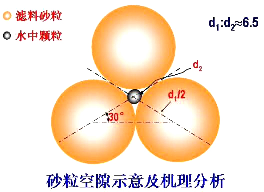 砂?？障妒疽饧皺C理分析